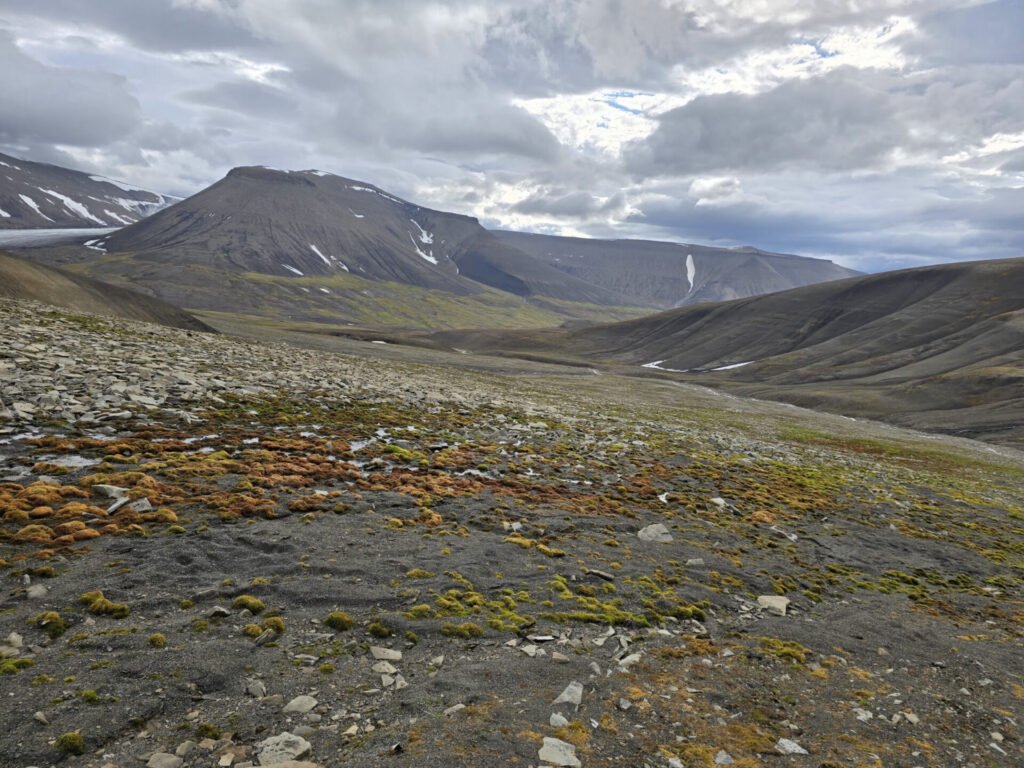 Picturesque valley view