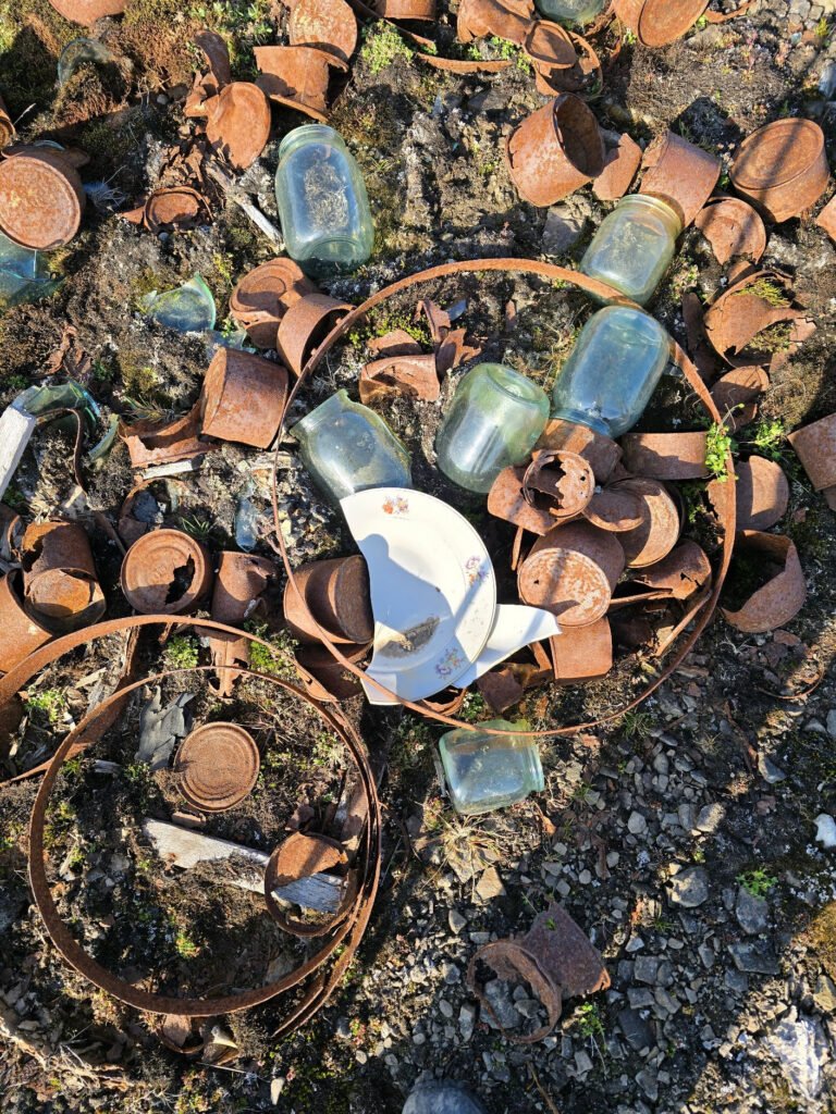 Field of rusted cans